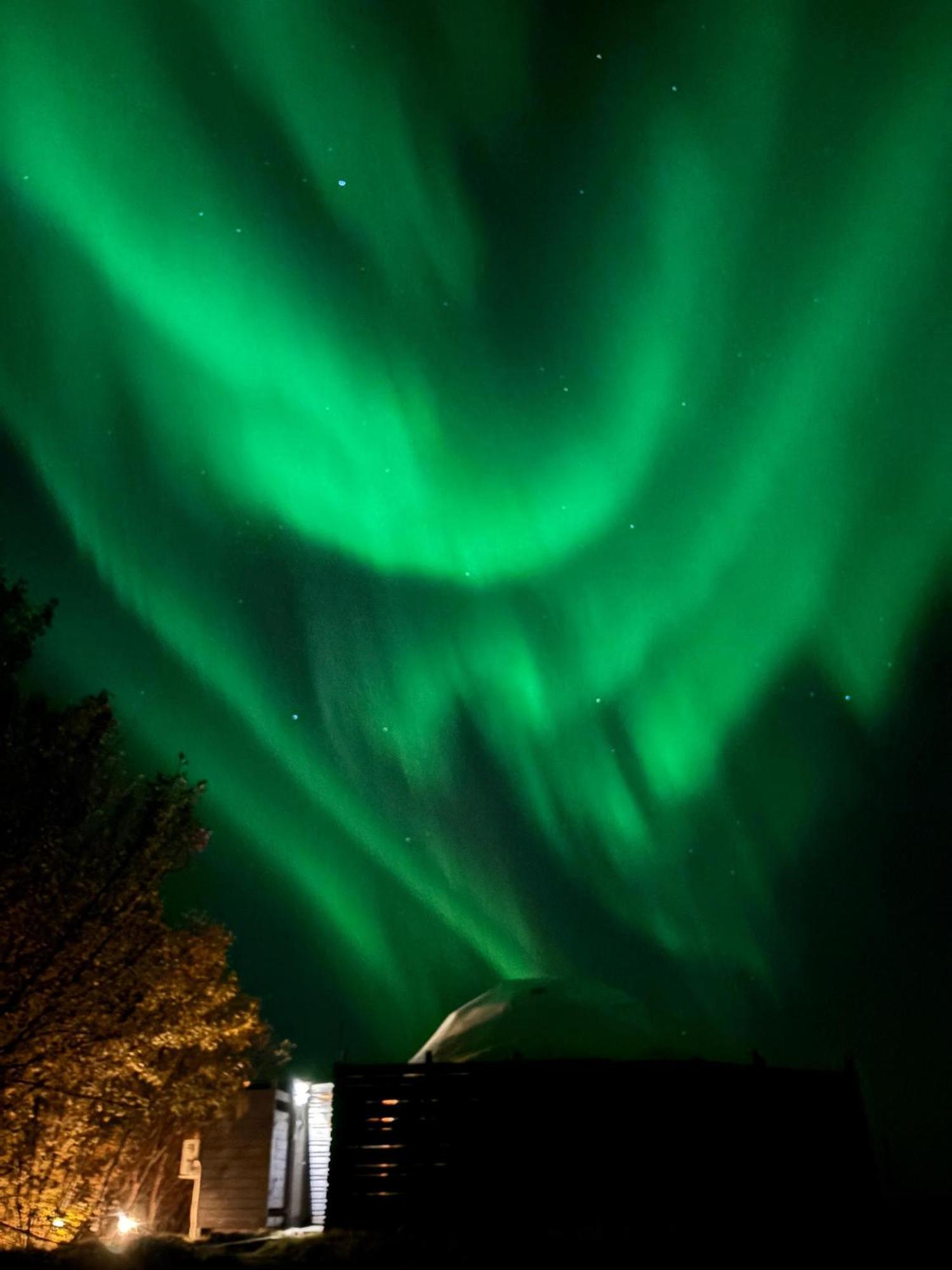 Aurora Dome - South Coast Iceland 크볼스뵈들뤼르 외부 사진